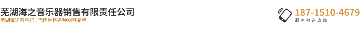 蕪湖海之音樂(lè)器銷(xiāo)售有限責(zé)任公司